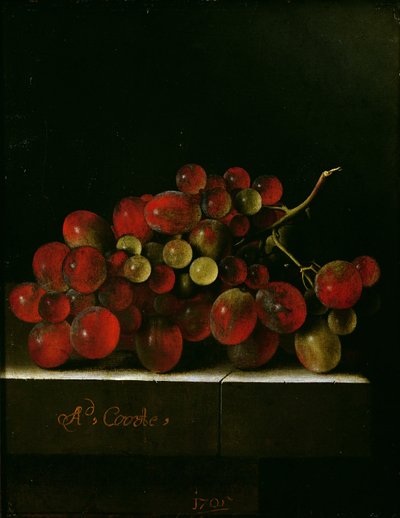 Bunch of Grapes, 1705 by Adrian Coorte